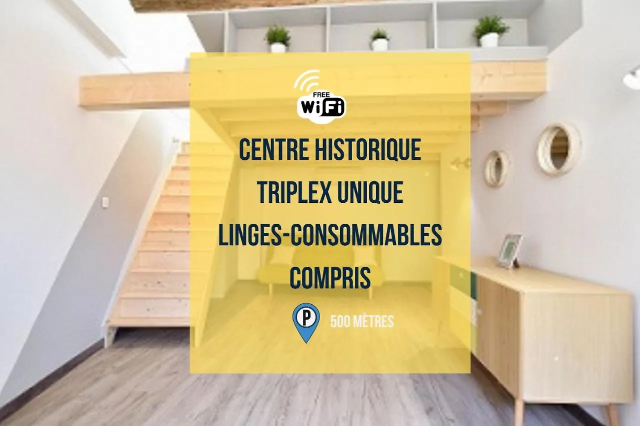 דירות Succes - Tres Beau Duplex- Coeur D'Arles- Climatisation  ארל